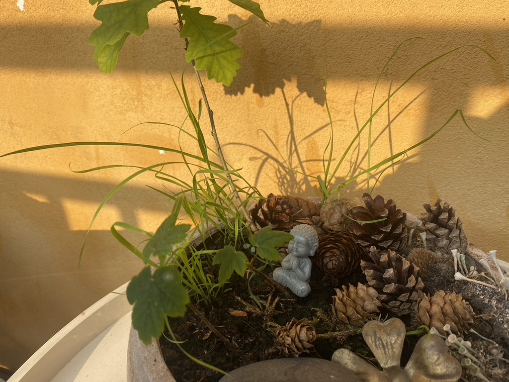 Growing in the shadow...